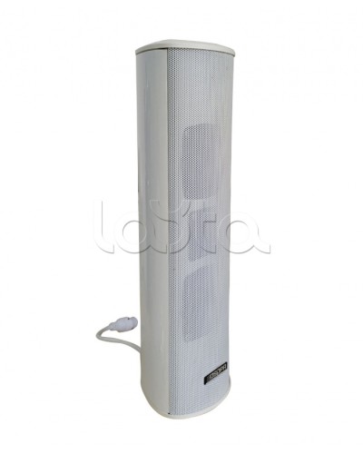 Громкоговоритель DSPPA POE-255 в Тюмени Система оповещения и трансляции Dsppa Pintop.ru