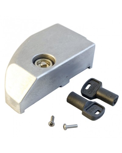 Дверца замка разблокировки BK Came 119RIBK012 в Тюмени Запчасти для шлагбаумов и автоматики Pintop.ru