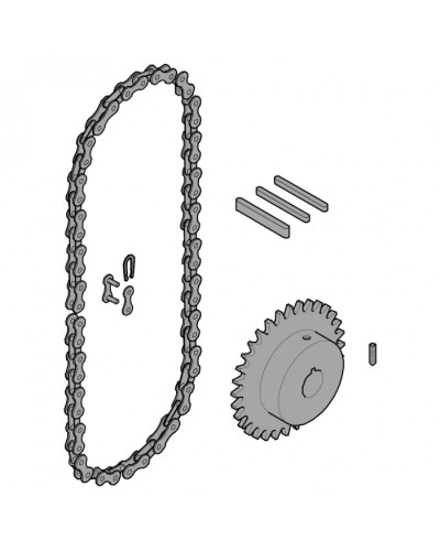 Передающая система (цепь и звездочки) C005 Came 119RICX016 в Тюмени Запчасти для шлагбаумов и автоматики Pintop.ru