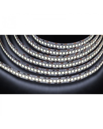 Лента светодиодная Navigator 14 459 NLS-2835CW240-24-IP20-12V в Тюмени Источники света(Лампы) Pintop.ru