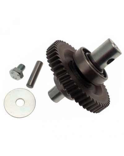 Шестерня редуктора FAST в сборе Came 119RID229 в Тюмени Запчасти для шлагбаумов и автоматики Pintop.ru