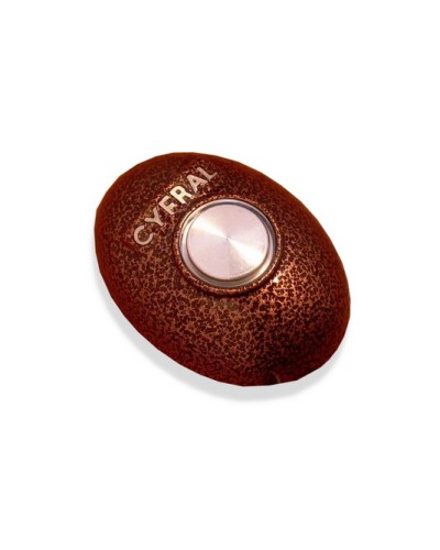 Кнопка открывания двери Цифрал КОДсП-4 в Тюмени Многоабонентные устройства Pintop.ru