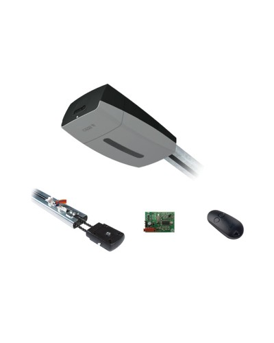 Came V10DMS3.25 KIT (до 3,25 м до 18 м2) - Комплект автоматики для секционных ворот высотой до 2,7 м на основе привода VER10DMS в Тюмени Автоматизация ворот Pintop.ru