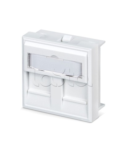 Вставка 45x45 (аналог Mosaic) для 2 модулей формата Keystone Jack Cabeus FP-45-2M в Тюмени Модули Keystone Pintop.ru