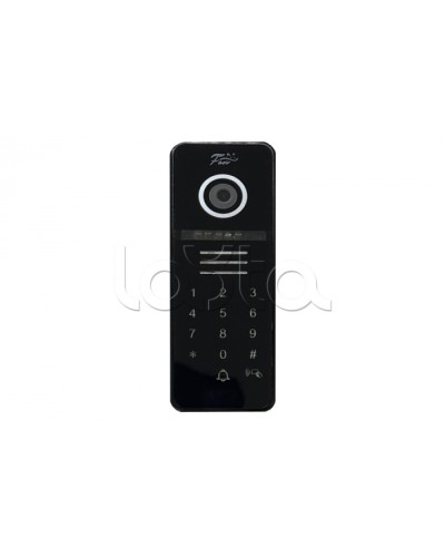 Видеопанель Fox FX-CP29 ЧЕРНЫЙ в Тюмени Вызывные видеопанели малоабонентные Pintop.ru