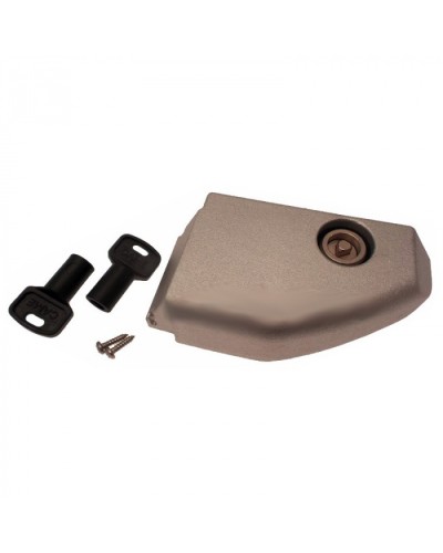 Дверца разблокировки с замком BX Came 119RIBX008 в Тюмени Запчасти для шлагбаумов и автоматики Pintop.ru