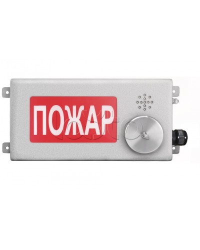 Табло светозвуковое взрывозащищенное Спектрон ТСЗВ-Exm-Н-Прометей-МИНИ 220В в Тюмени Оповещатели Ex Pintop.ru