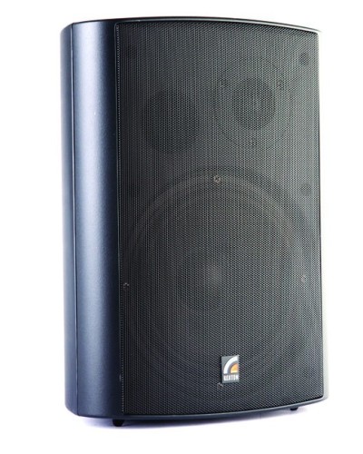 Громкоговоритель настенный ROXTON MS-20TB в Тюмени Система оповещения и трансляции Roxton Pintop.ru