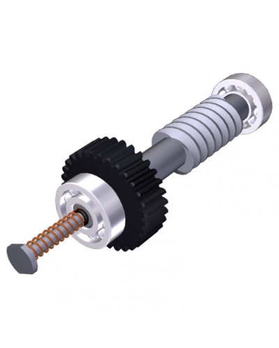 Червяк редуктора FAST40 Came 119RID374 в Тюмени Запчасти для шлагбаумов и автоматики Pintop.ru