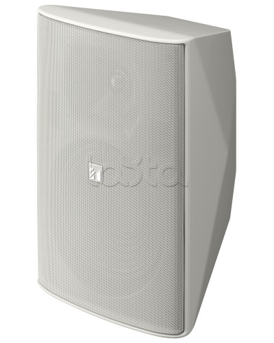 Громкоговоритель 2 полосный TOA F-2000 WT в Тюмени Системы оповещения и трансляции TOA Pintop.ru