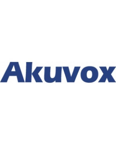IP монитор (интерком-панель) Akuvox C313W_V2 в Тюмени Абонентские IP устройства Pintop.ru