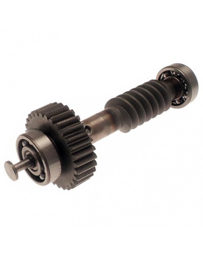 Червяк редуктора FAST в сборе Came 119RID228 в Тюмени Запчасти для шлагбаумов и автоматики Pintop.ru