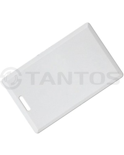 Карта толстая формата Temic Tantos Temic (толстая) TS в Тюмени Оптовые идентификаторы Pintop.ru