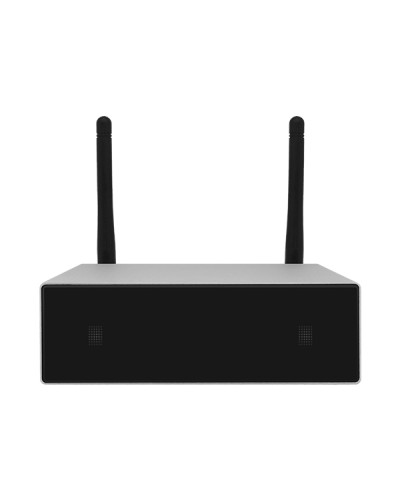 Усилитель потоковой передачи WIFI DSPPA DW-0250 в Тюмени Система оповещения и трансляции Dsppa Pintop.ru