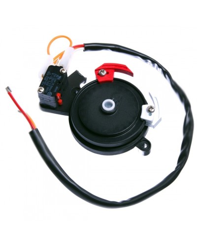 Концевые микровыключатели в сборе BX-243 Came 119RIBX041 в Тюмени Запчасти для шлагбаумов и автоматики Pintop.ru