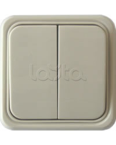 Выключатель двухклавишный открытой установки Экопласт, схема 5, (бежевый) в Тюмени Розетки компьютерные и телефонные Pintop.ru