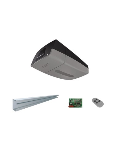 Комплект автоматики для секционных ворот Came VER 06 (VER06DES 2.7 KIT) на основе привода VER06DES (встроенный блок управления, радиоуправление, направляющий профиль) в Тюмени Автоматизация ворот Pintop.ru