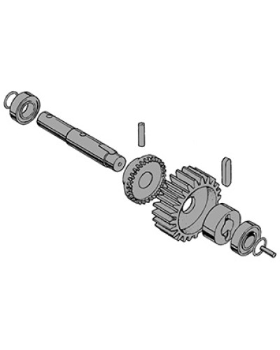 Вал в сборе C-BY Came 119RIC031 в Тюмени Запчасти для шлагбаумов и автоматики Pintop.ru
