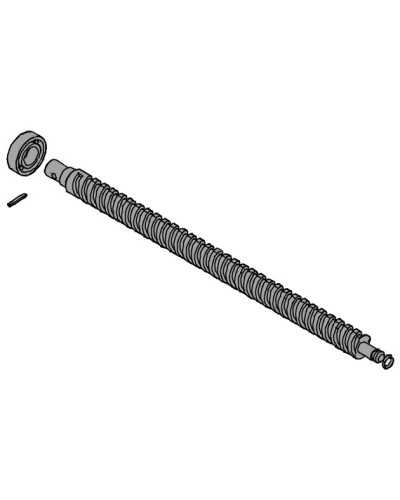 Винт ходовой AX302304, AX3024, АХ402306, AX412306 Came 119RID319 в Тюмени Запчасти для шлагбаумов и автоматики Pintop.ru