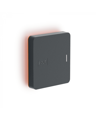 Считыватель SIGUR MR1 BLE в Тюмени Считыватели Pintop.ru