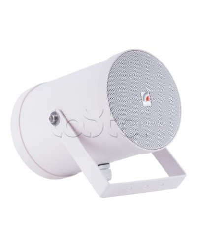 Двунаправленный Прожектор звуковой ROXTON SW-10T2 в Тюмени Система оповещения и трансляции Roxton Pintop.ru