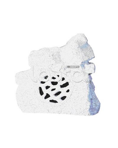 Громкоговоритель ландшафтный всепогодный DSPPA DSP-640 в Тюмени Система оповещения и трансляции Dsppa Pintop.ru