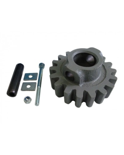 Шестерня ведущая ВК Came 119RIBK002 в Тюмени Запчасти для шлагбаумов и автоматики Pintop.ru
