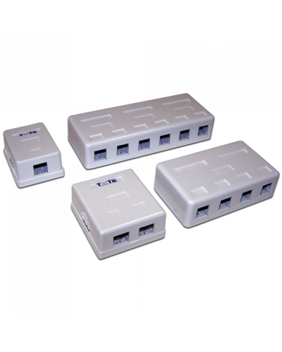 Настенная коробка 2 порта для Keystone TWT (TWT-SA2-WH) в Тюмени Модули Keystone Pintop.ru