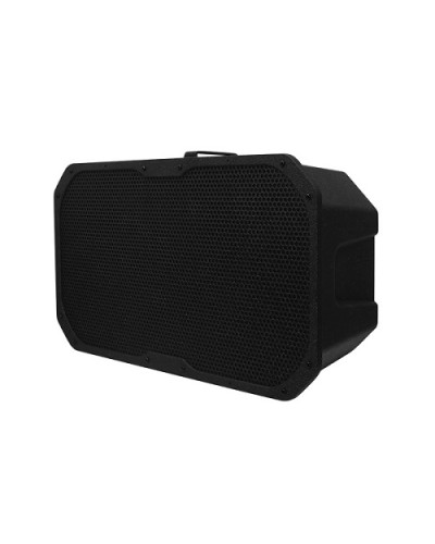 Акустическое устройство DSPPA LRAS-1830 в Тюмени Система оповещения и трансляции Dsppa Pintop.ru