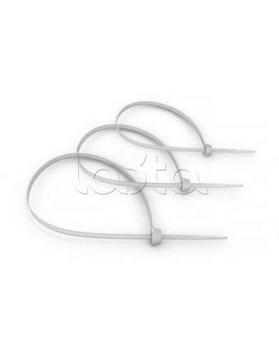 Стяжка нейлоновая неоткрывающаяся, безгалогенная (halogen free) 100x2.5мм, (100 шт) Cabeus CT-100 в Тюмени Аксессуары для кабель-канала Pintop.ru