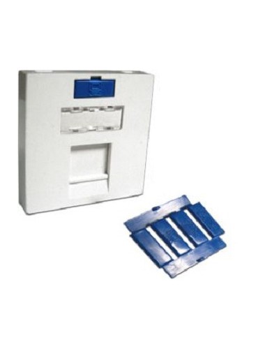 Вставка 45x45 на 1 кейстоун, угловая, со шторкой, маркировкой и иконками, белая LANMASTER LAN-SIP-23A-WH в Тюмени Аксессуары для кабель-канала Pintop.ru