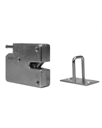 Замок электронный RusGuard CMS в Тюмени Электромагнитные замки Pintop.ru