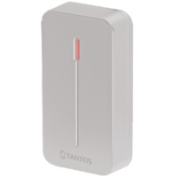 Считыватель карт Em-marin Tantos TS-RDR-E mini (серый)