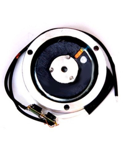 Электромагнит BY1500T Came 119RIY034 в Тюмени Запчасти для шлагбаумов и автоматики Pintop.ru