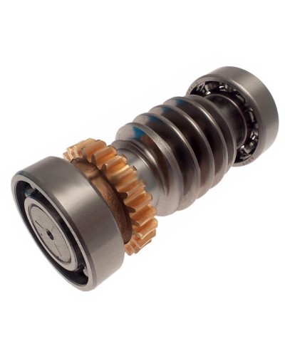 Червяк FROG Came 119RIA016 в Тюмени Запчасти для шлагбаумов и автоматики Pintop.ru