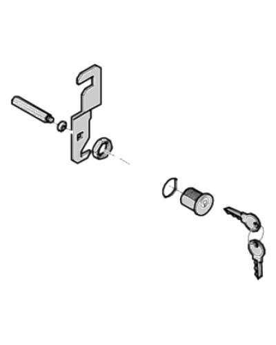 Замок дверцы G4040 G4041 Came 119RIG176 в Тюмени Запчасти для шлагбаумов и автоматики Pintop.ru