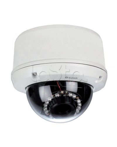 IP-камера видеонаблюдения уличная купольная D-Link DCS-6510/EP в Тюмени IP-камеры Pintop.ru