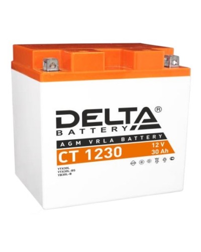 Аккумулятор АКБ 12 - 30 Delta CT 1230 в Тюмени Электротехническое оборудование Pintop.ru
