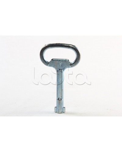 Металлический ключ с двойной бородкой 3мм DKC R5CE230 в Тюмени Крепежные изделия Pintop.ru