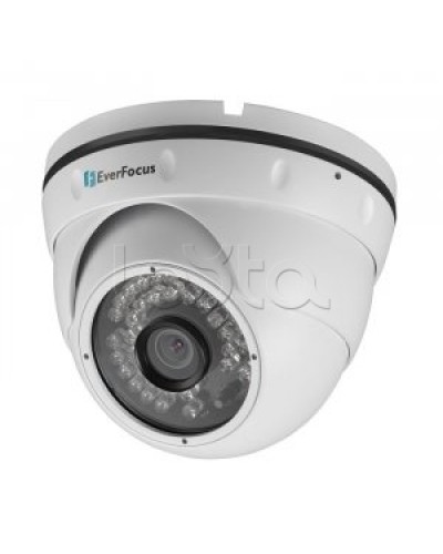 IP-камера видеонаблюдения купольная EverFocus ACE-IAV30 в Тюмени IP-камеры Pintop.ru