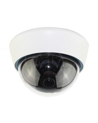 IP-камера видеонаблюдения купольная EverFocus ACE-IOV20A в Тюмени IP-камеры Pintop.ru