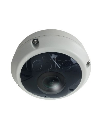 IP-камера видеонаблюдения купольная EverFocus ACE-KU89F в Тюмени IP-камеры Pintop.ru