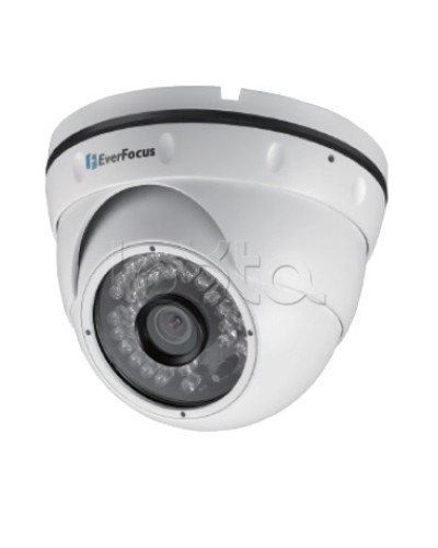 IP-камера видеонаблюдения уличная купольная EverFocus EBN-268 в Тюмени IP-камеры Pintop.ru