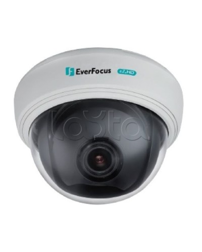 AHD-камера видеонаблюдения купольная EverFocus ED-910F в Тюмени Аналоговые камеры Pintop.ru