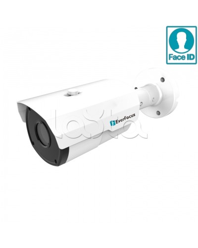 IP-камера видеонаблюдения в стандартном исполнении EverFocus EZN-2850 в Тюмени IP-камеры Pintop.ru