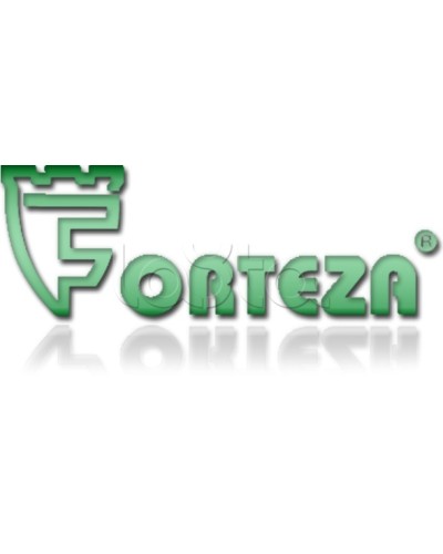 Плата сменная Forteza Плата БГр-4 в Тюмени Устройства защиты операционных процессоров (ОПС) Pintop.ru