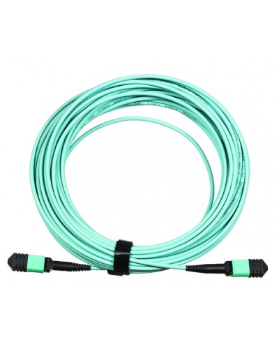 Сборка кабельная LANMASTER (LAN-12M-12M/OM3B-15) в Тюмени Коннекторы Pintop.ru