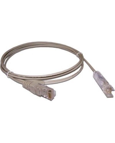 Патч-корд 110 тип - RJ45, 1 пара, UTP, 1 м LANMASTER LAN-45-P1-1m в Тюмени Патч-корды и пигтейлы Pintop.ru