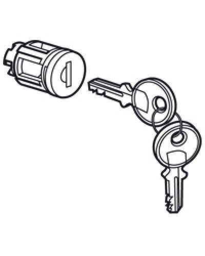 Цилиндр встроенный под ключ №405 Legrand 020291 в Тюмени Дополнительное оборудование для сетей Pintop.ru