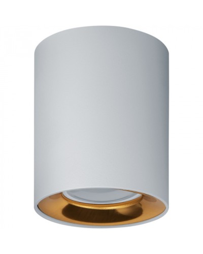 Светильник Navigator 93 329 NFS-C-002-04 в Тюмени Светильники Pintop.ru